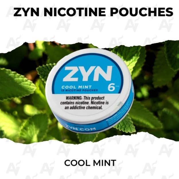 Zyn Nicotine Pouches – Cool Mint 6mg view 2